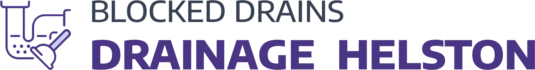 website logo